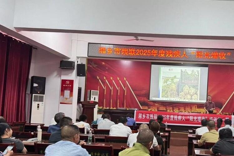 湘乡：技能培训送下乡 “阳光增收”助振兴